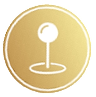 Het Acupunctuurpunt
